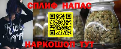 индика Бузулук