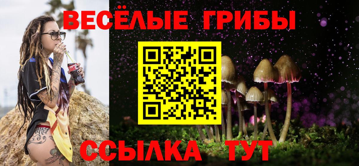 Красногорск  Галлюциногенные грибы мицелий  Вход с VPN 